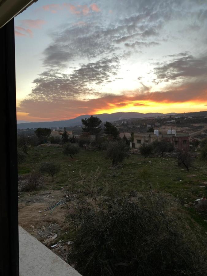 Jarash Gate Suite Eksteriør bilde